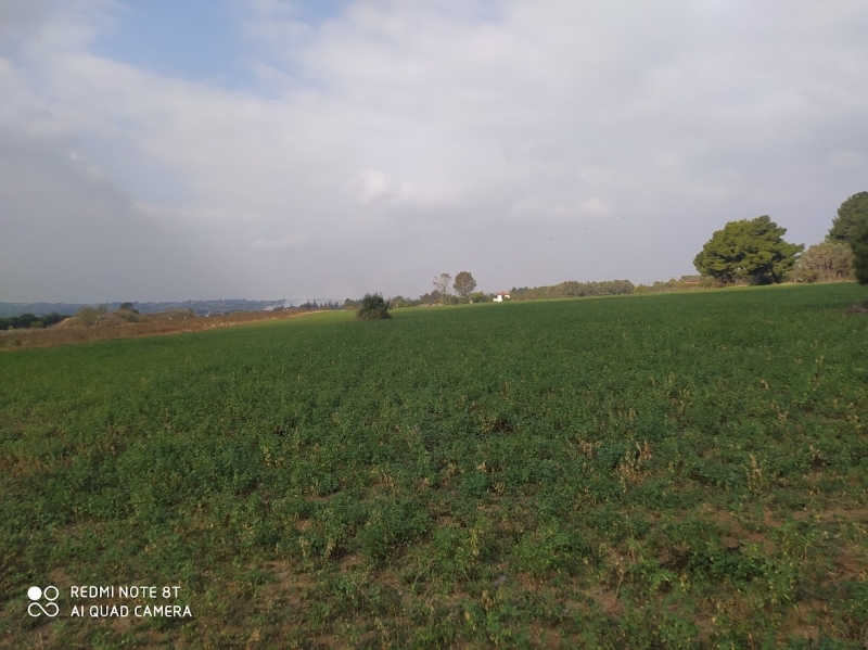 property-img