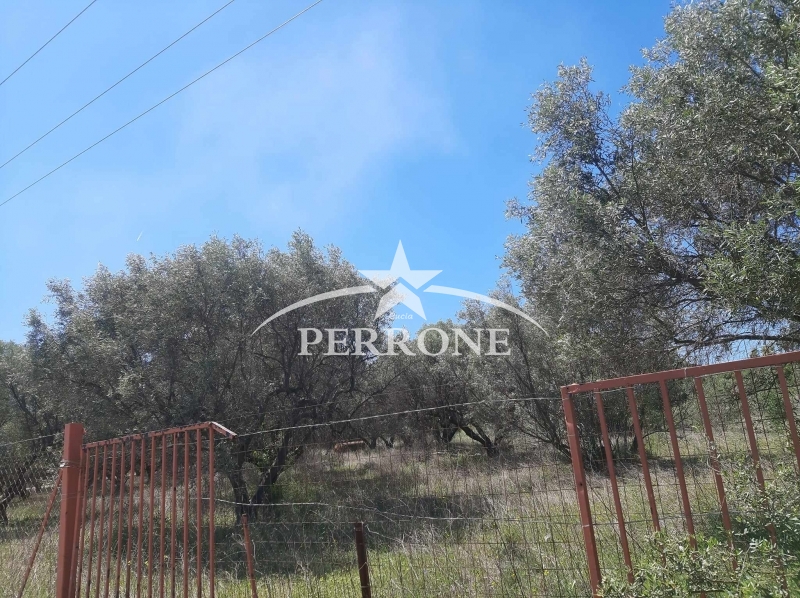 property-img